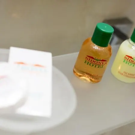 酒店 西多尼亚酒店